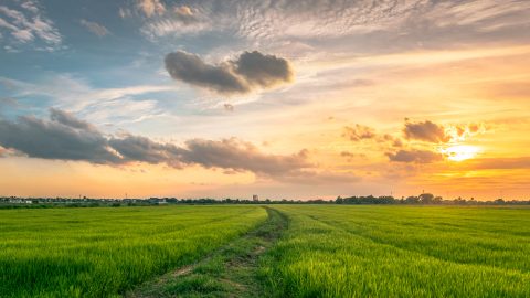 Egy-két záport leszámítva egész hétvégén kitart a jó idő