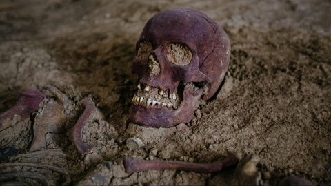Rejtélyes csontvázakat találtak Hitler egykori főhadiszállásánál