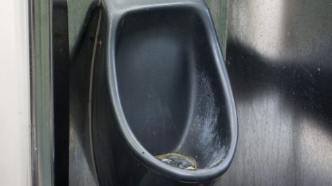 Nyilvános vécét nyalogatott a német Szabad Demokrata Párt egyik jelöltje