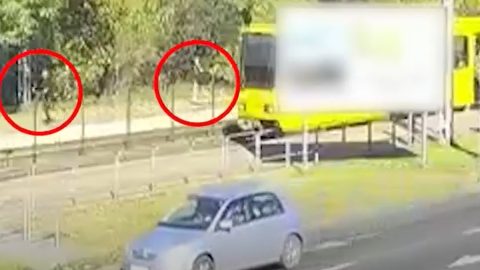 Követték az 52-es villamosról Határ útnál leszálló férfit, majd eszméletlenre verték és sorsára hagyták a Kiserdőben – videó