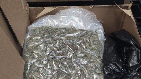 Húsz kiló marihuánát találtak egy spanyol csomagban a ferihegyi repülőtéren