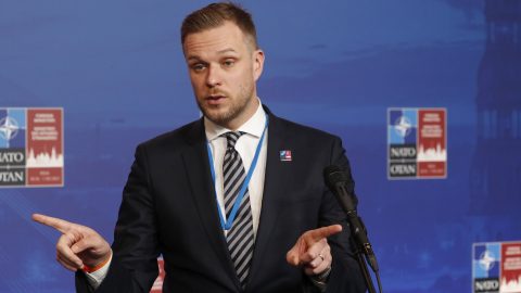 Landsbergis: Megoldást kell találni a magyar problémára