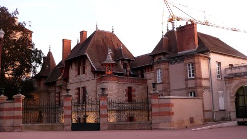 Párbajozó békák kerültek elő egy száz évre lezárt francia villából
