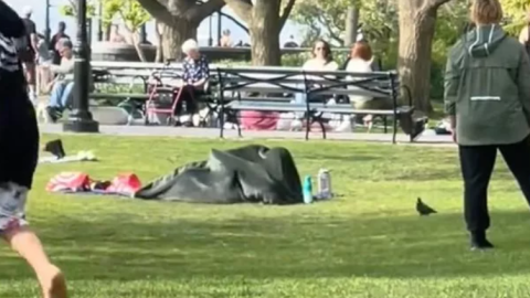 Fényes nappal, egy közparkban szexelt egy pár New Yorkban, azt hitték, egy takaró elrejti őket