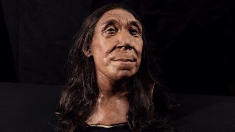 Neandervölgyi nő arcát rekonstruálták