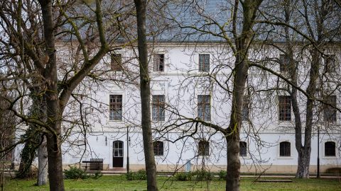 11 éves kislányt fogdosott egy alkalmazott a bicskei gyermekotthonban, az elkövetőt kirúgták