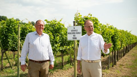 Navracsics Tibor tiltakozik a Hungarikum Bizottság elutasító döntése ellen