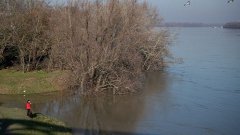 A Tiszáról rendelnek át vízügyi szakembereket a dunai árhullám miatt