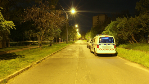 „Kötekedett, ezért védekezésképp rásóztam párat a fakaróval” – állítja a vadidegent ok nélkül agyonverő lomizó