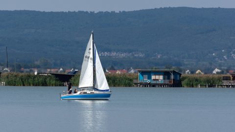 A Greenpeace-nek adott igazat a Kúria a Fertő tó ügyében