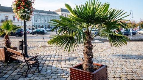 Megdőlt a napi maximumrekord: 39 fokot mértek Baján