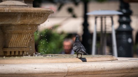Fokozatosan melegszik az idő a hétvégi kánikula előtt