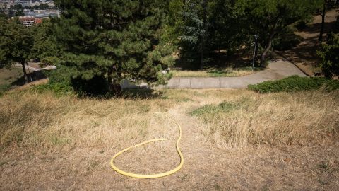 A legmagasabb fokozatú figyelmeztetést adták ki a hőség miatt öt megyére