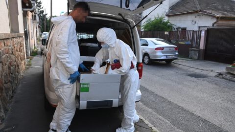 „Szerettem a feleségemet. Én sem tudom, hogy miért bántottam” – mondta a nejét agyonverő kispesti férfi