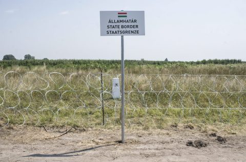 Embermagasságú víz tűnt el, porszáraz az ásotthalmi halastó