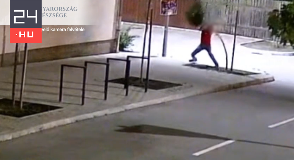 Berúgott, majd facsemetéket pusztított el egy középkorú férfi – videó ...