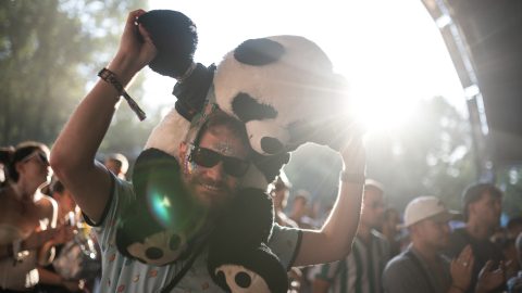 Haverok, buli, panda – a Sziget negyedik napja képekben