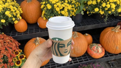 Mikor csavarodtak rá az emberek ennyire a pumpkin spice lattéra?