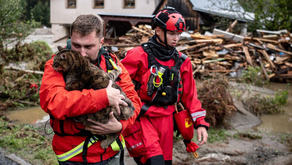 Galéria: áradások pusztítanak a környező országokon