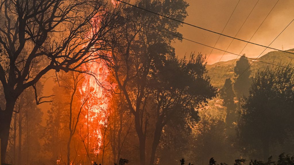 Súlyos erdőtűz pusztít Portugáliában