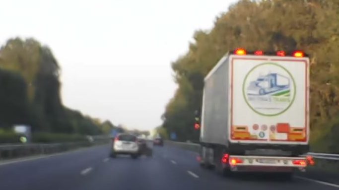 Vaddisznó szaladt neki egy Suzukinak az M7-esen – videó