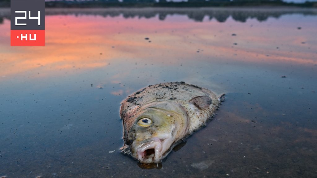 Lesújtó állapotban vannak Európa vizei