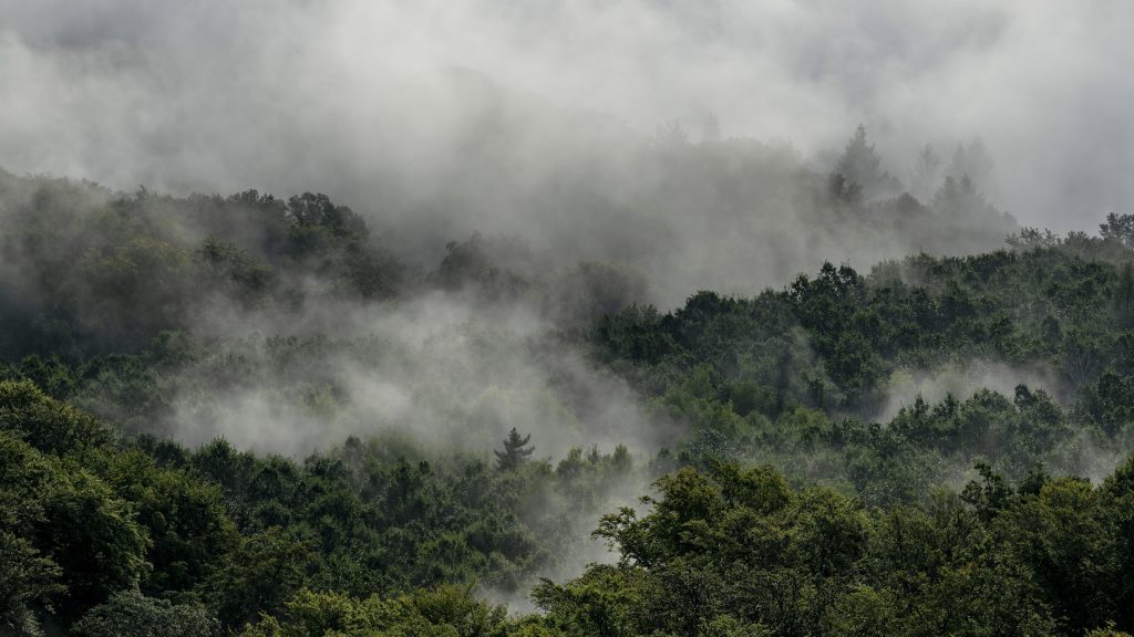 Napközben megérkeznek a felhők