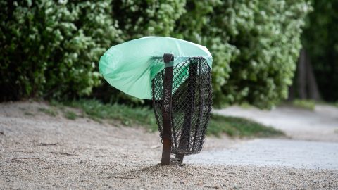 Szelet, néhol esőt hoz a hidegfront