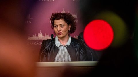 Bodajki gólyatábor: kacifántos úton utasították el Vadai Ágnes panaszát
