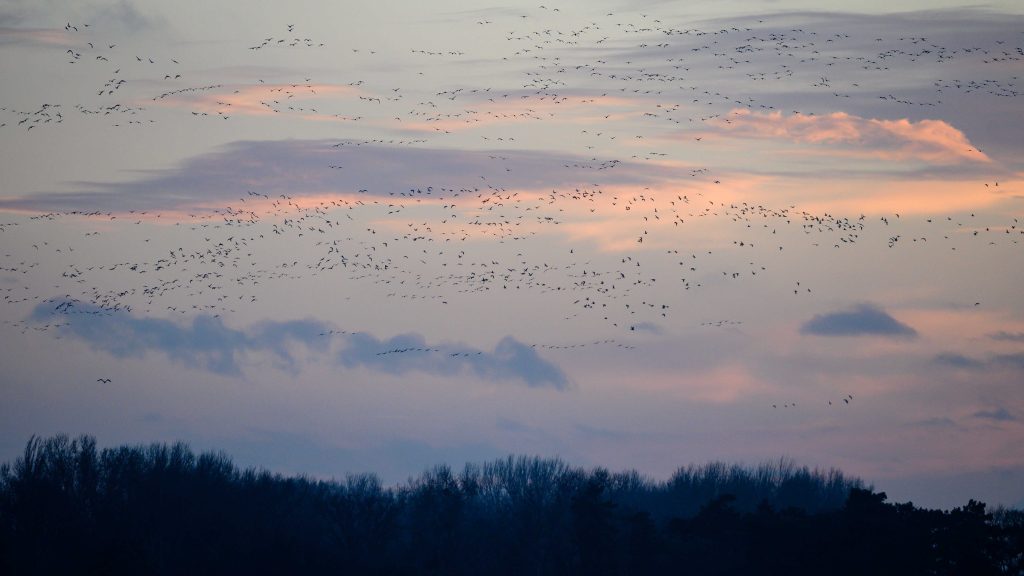 Pénteken már több napsütésre számíthatunk
