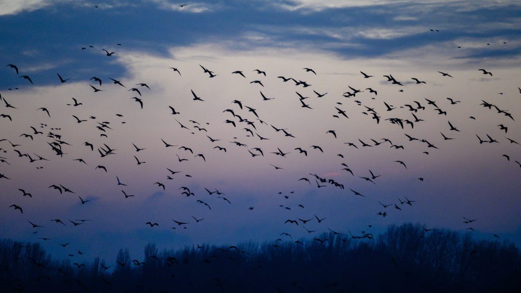 Pénteken sütni fog a nap, de melegünk nem lesz