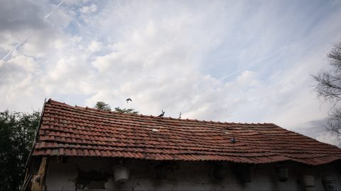 A Viharsarokban még a Magyar Falu program is kevés volt – 59 településből csak egyben nőtt a népesség