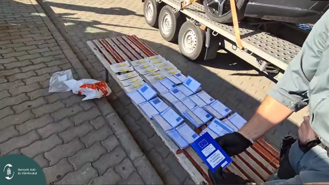Hamis kisállatútleveket és chipeket találtak egy bolgár kisteherautóban