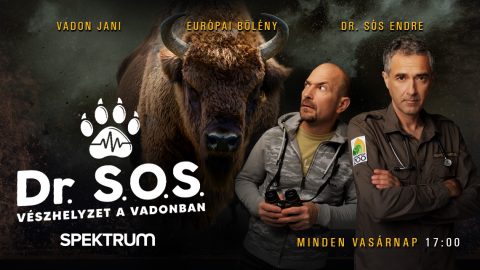Dr. Sós Endre és Vadon Jani akcióban