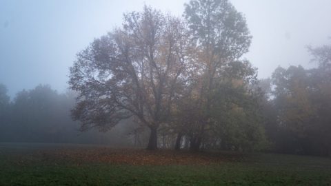 Ködösen indul, lehűléssel folytatódik a december