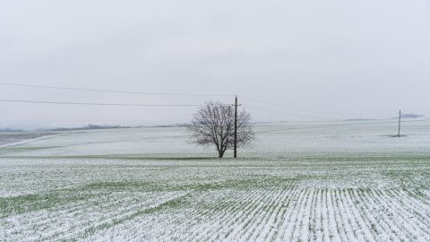 Megreccsent a mezőgazdasági kibocsátás, gyengélkedik az ipar