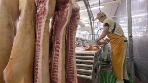 Lehúzta a teljes tanári kart egy húsüzemben dolgozó férfi azzal, hogy olcsóbb húst ígért nekik karácsonyra