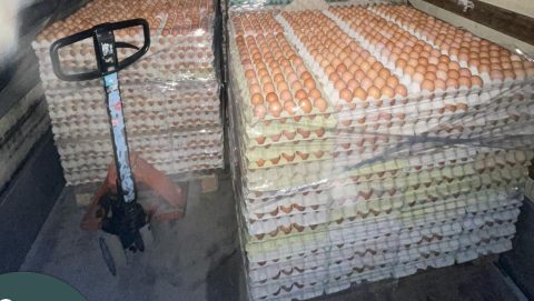 Hatvanezer jelöletlen tojást találtak a NAV-osok egy furgonban