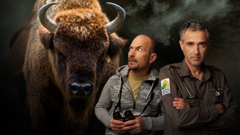 Medvepuszi Vadon Jani módra