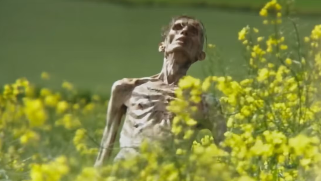 Eldőlni látszik, hogy valóban Cillian Murphy-e a titokzatos zombi a 28 évvel később előzetesében