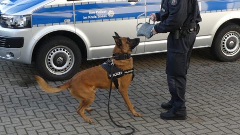 23 busz égett le a bajor rendőrség kutyás egységének központjában
