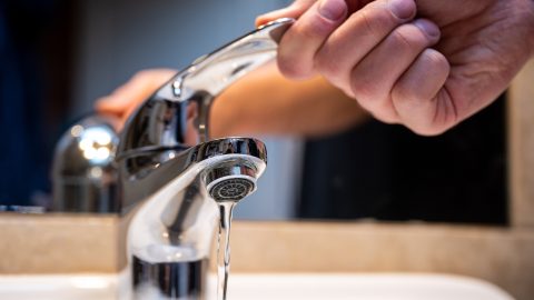 Lárvák és kukacok jelentek meg a pilisi ivóvízben
