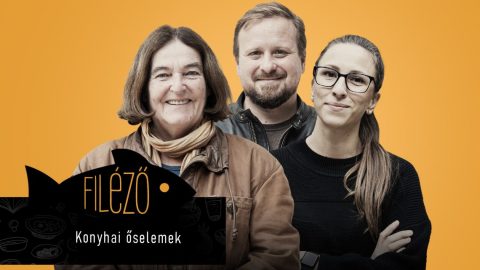 És te mit kérdeznél a Michelin-csillagos séftől, a dietetikustól és a gasztrotörténésztől?