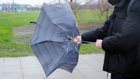 Orkánközeli szelet mértek a Balatonnál