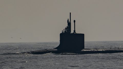 Bálnapuki okozhatott riadalmat a britek nukleáris tengeralattjáróin