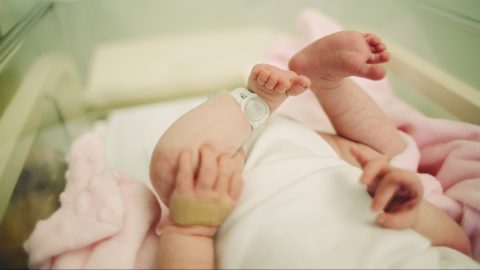 Az újév első babái: Milán, Szófia és Zoé