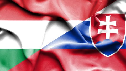 Megakadt a szlovák nyelvtörvény szigorításának ügye, csak találgatni lehet az okokat