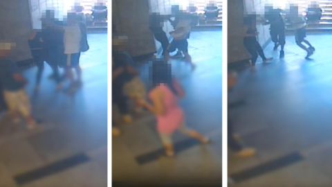 Hajánál fogva cibáltak egy nőt a Blahán, brutális bunyó lett a vége – videóval