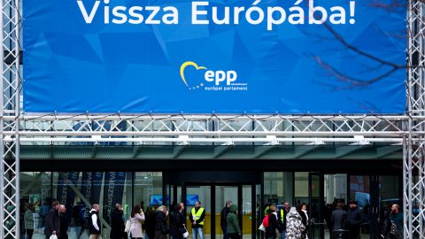 „Eljutottunk oda, hogy a lucernának ma nincs igazi magyar felvevőpiaca”
