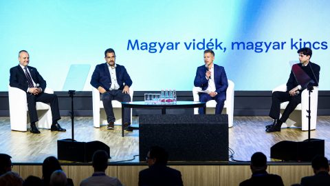 Több mint a nézők fele workshopol is